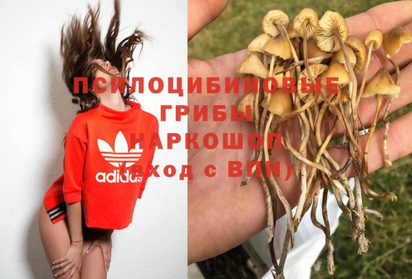 Альфа ПВП Алексин