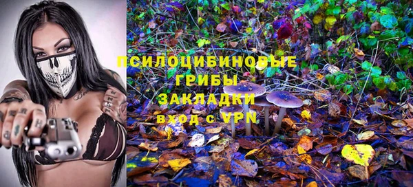 бошки Алзамай