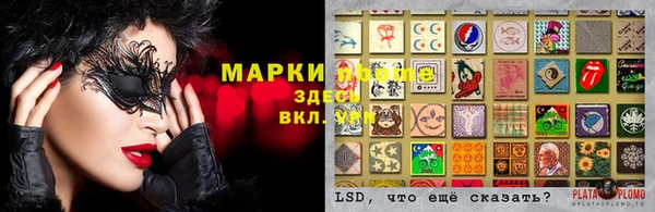 дурь Алексеевка